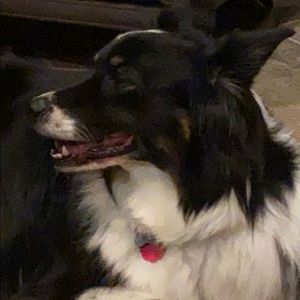 Meet your Posher, Shelly